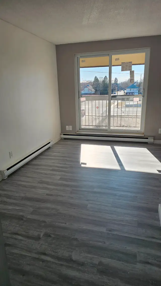 Newly renovated bachelor apartment for rent.  $1000.00 + hydro.63436972227459123