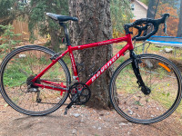 Devinci touring bike (caribou)