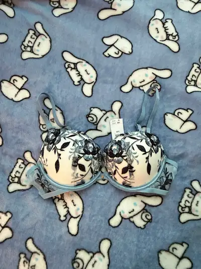 Victoria's Secret/La Senza Bras [34B/32B] , View more