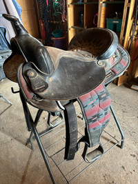 Big horn saddle
