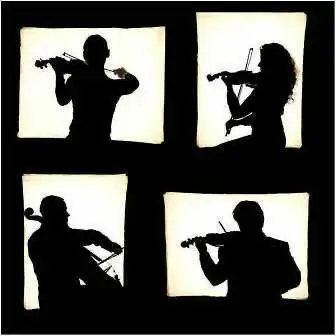 ***GORGEOUS STRING QUARTET FOR YOUR WEDDING or Event!628657111856651213