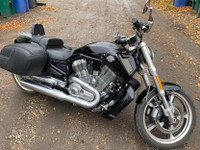 2013 Harley Davidson Vrod Muscle 6754km