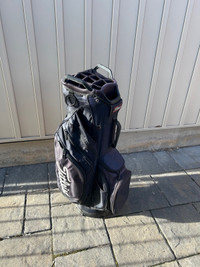 Titleist golf bag 