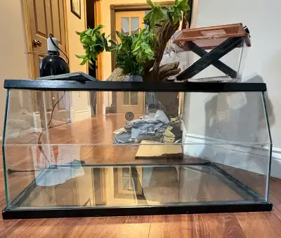 Custom Made Top Opening Glass terrarium, View more