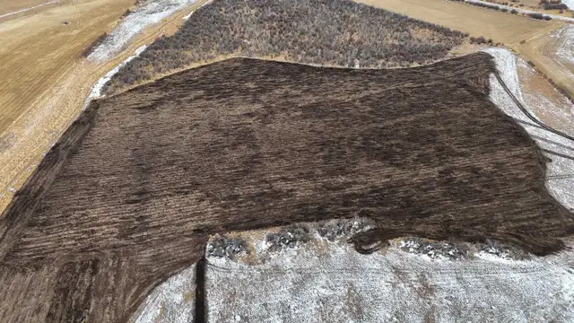 Mulching/Land Clearing/Subsoiling 65625973614722121