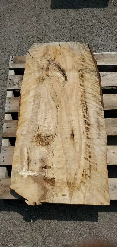 Silver birch live edge slabs, View more
