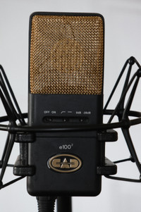 CAD E100-2 Large Diaphragm Supercardioid Condenser Microphone