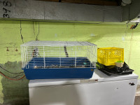 Bunny cage, dishes, food and hay