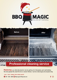 Barbecue Cleaning & Restoration Service