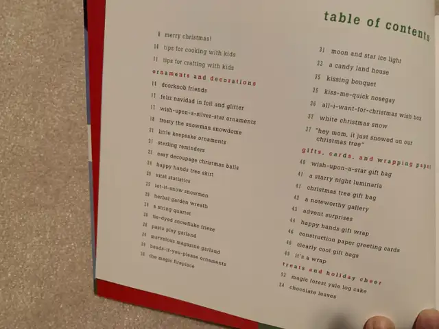 Christmas Treats Book - Recipes and Crafts in Holiday, Event & Seasonal in Markham / York Region - Image 5