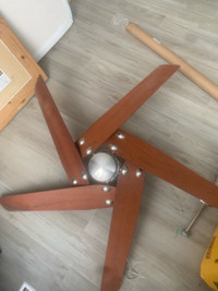 Large Ceiling Fan