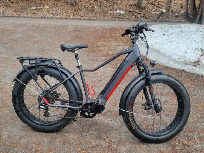 iGo Extreme 3.0 Electric Fat Bike, View more