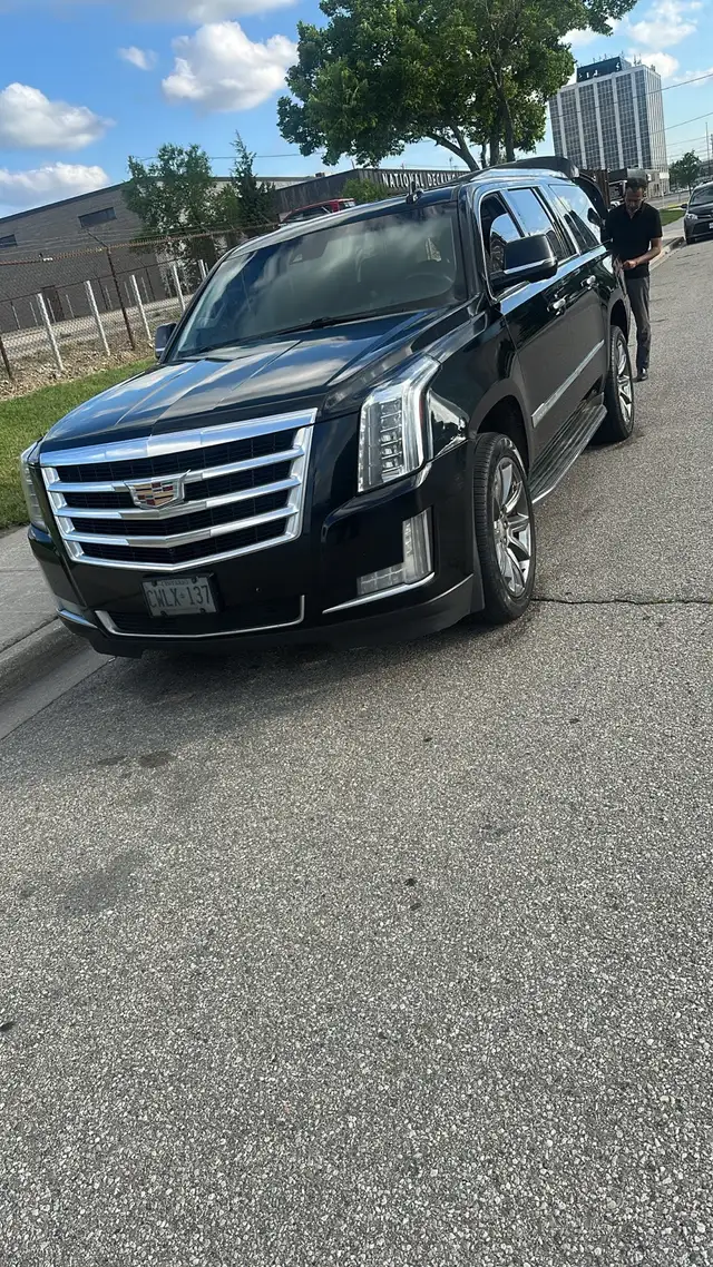 2015 Cadillac Escalade for Sale. 