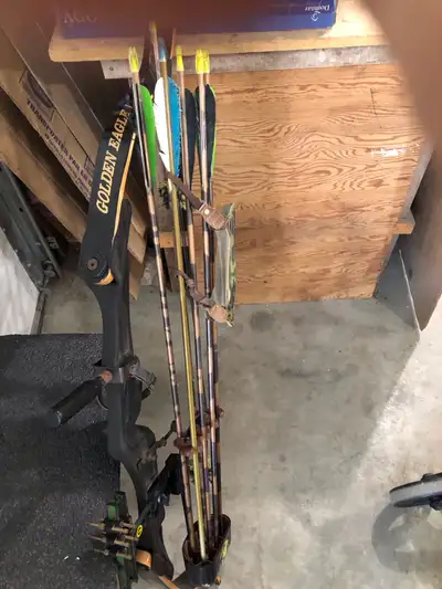 Golden eagle compound bow kit with case and wall mounted holder left hand grip