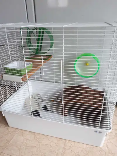 Cage pour hamster ou bébé rat, View more