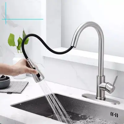 Upgrade your kitchen with this brand new, sleek Kitchen Faucet, designed with a gooseneck, pull-down...