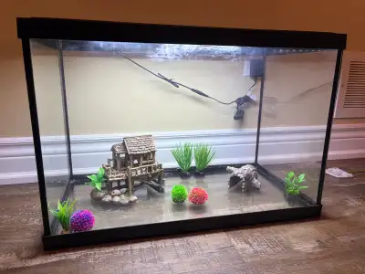 Fish Aquarium & Accessories, View more
