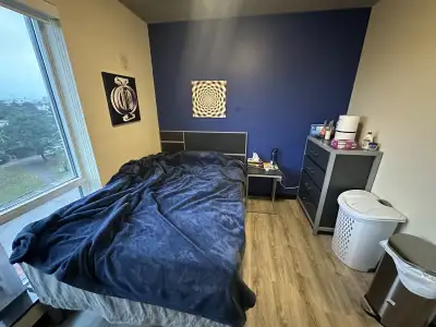 SUBLET JANUARY 2026 to APRIL 2026 (WINTER 2026 TERM). myREZ on Lester (5th floor) 181 Lester St, Wat...