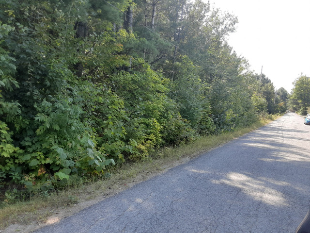 terrain a vendre A SAINTE-JULIENNE dans Terrains à vendre  à Lanaudière