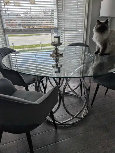 Glass Dining Table, View more