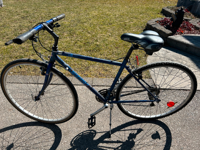 Adult / Teen bicycle in Road in Kitchener / Waterloo - Image 3