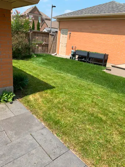 Starting at $40 | Affordable Lawn Mowing & Trimming Services, View more