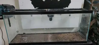 40" x 13.5" x 21" comes with a filter and pump