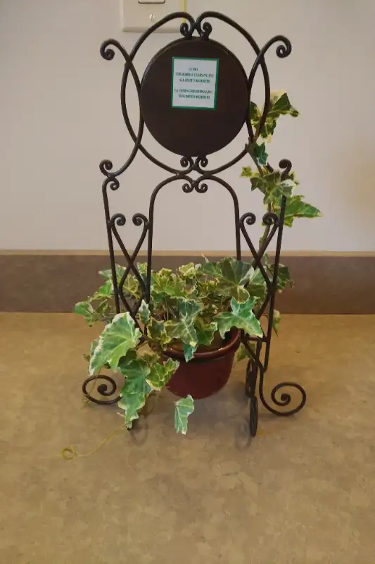 Bombay Company decorative clock with ivy62865711634690121