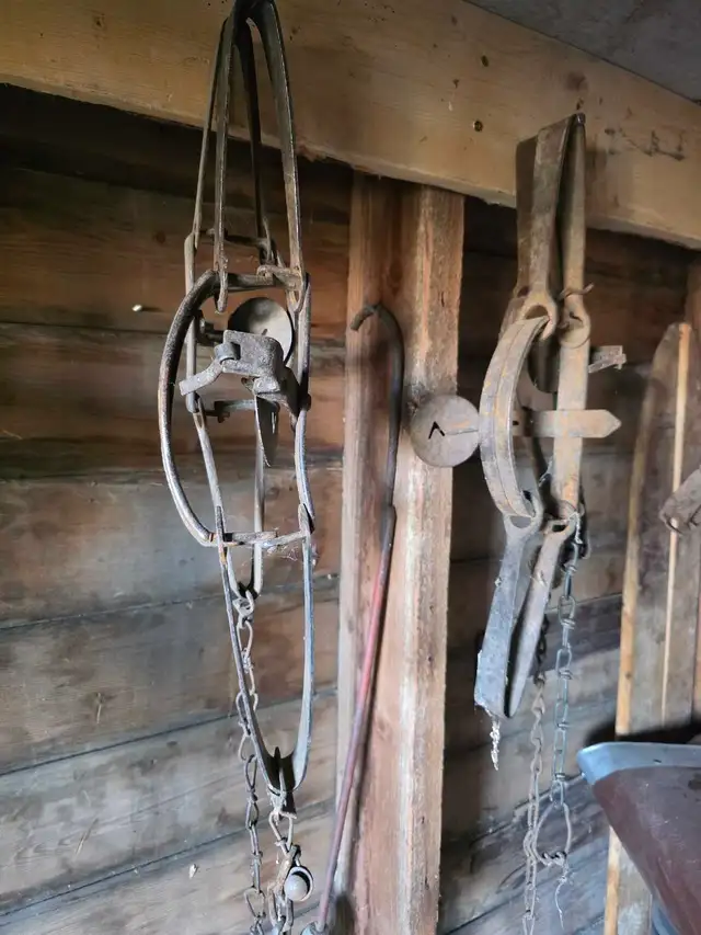 old traps 600954223796561922