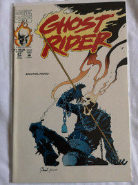 Ghost Rider #21 First Michael Badilino Vengeance Snow Blinded VF