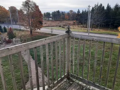 Carpentry services, plumbing, clogged drains, leaky taps ,gutter maintenance, landscaping.