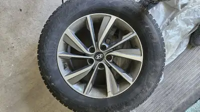 235/65/18 Pirelli Ice Zero winter Tires and Hyunday OEM alloy Rims, both in great condition. - Tires...