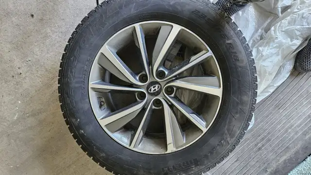Pirelli Winter Tires on OEM Alloy Rims in Tires & Rims in Ottawa - Image 2