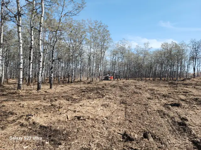 Mulching/Land Clearing62864742922370122