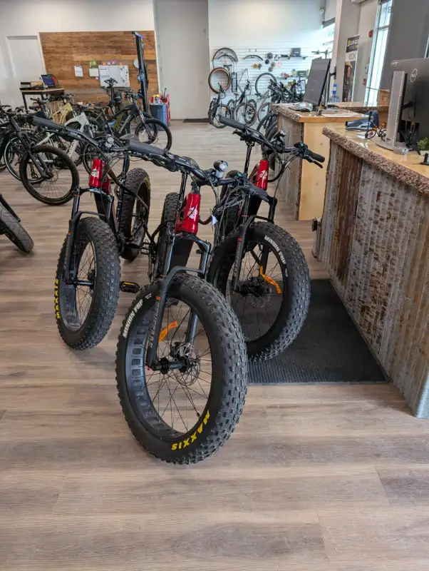 45% OFF! iGO Outland Torngat RS Mid Drive Electric Fat Bike62863733816577121