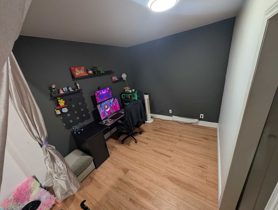 large 3.5. PETS ACCEPTED 5
