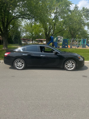 2009 Nissan Maxima SV