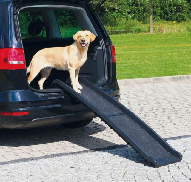 Used dog ramp for car - med/large dog in Accessories in Peterborough - Image 3
