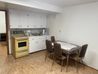 Basement suite for rent 90kms SE of Regina