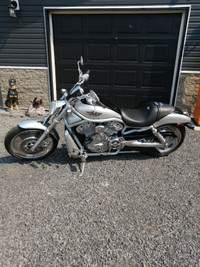 2003 Harley v rod 