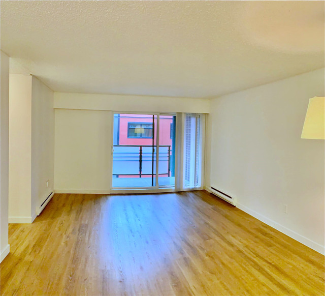 One or Two bedrooms by the Beach in Long Term Rentals in Downtown-West End - Image 4