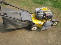 -  Old lawnmowers or lawn tractors, cash in hand.
