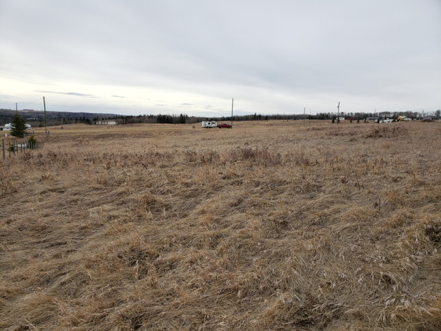 1.43 acres in River Ridge Estates by Pigeon Lake in Land for Sale in Strathcona County - Image 3