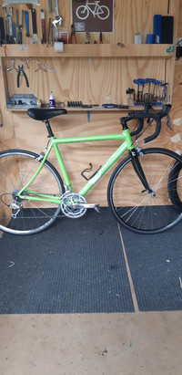 Womans cannondale synapse