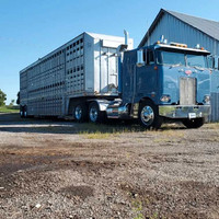 Peterbilt 352