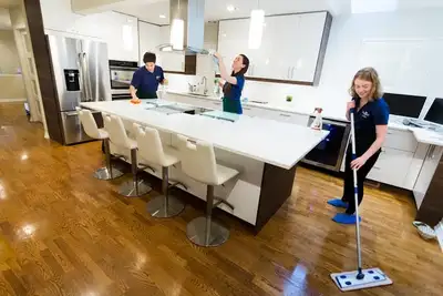 Cleaners, Cleaning, House cleaners, Office cleaning 6474244389, View more