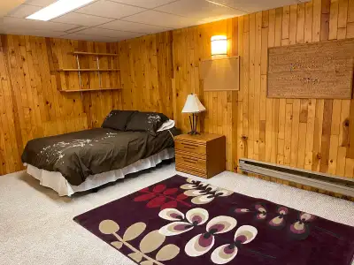 1 bedroom basement furnished 1000 sq ft