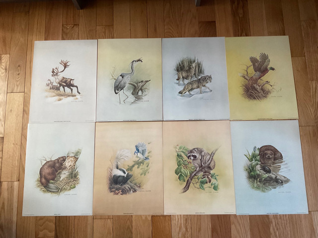 16 Wildlife Quaker Oats Collection by Artist Michael Dumas $200  in Arts & Collectibles in Trenton