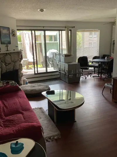 Mature Male-Furnished Room -utilities included
