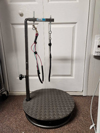 Small pet grooming table, 3 leashes and xtra padded mat & hooks